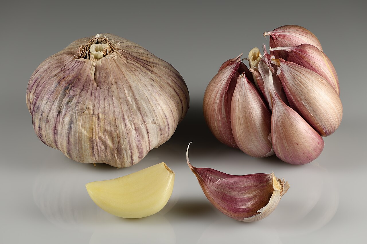 Bulbo y dientes de ajo, fuente natural del disulfuro de dialilo